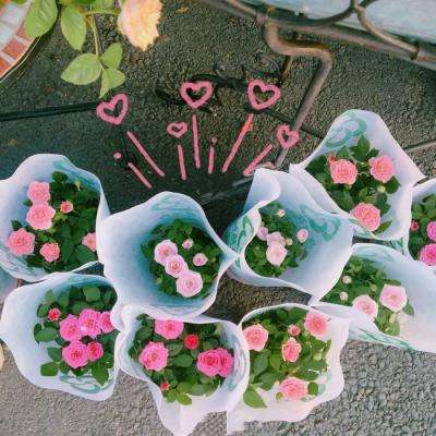 云顶集团app下载